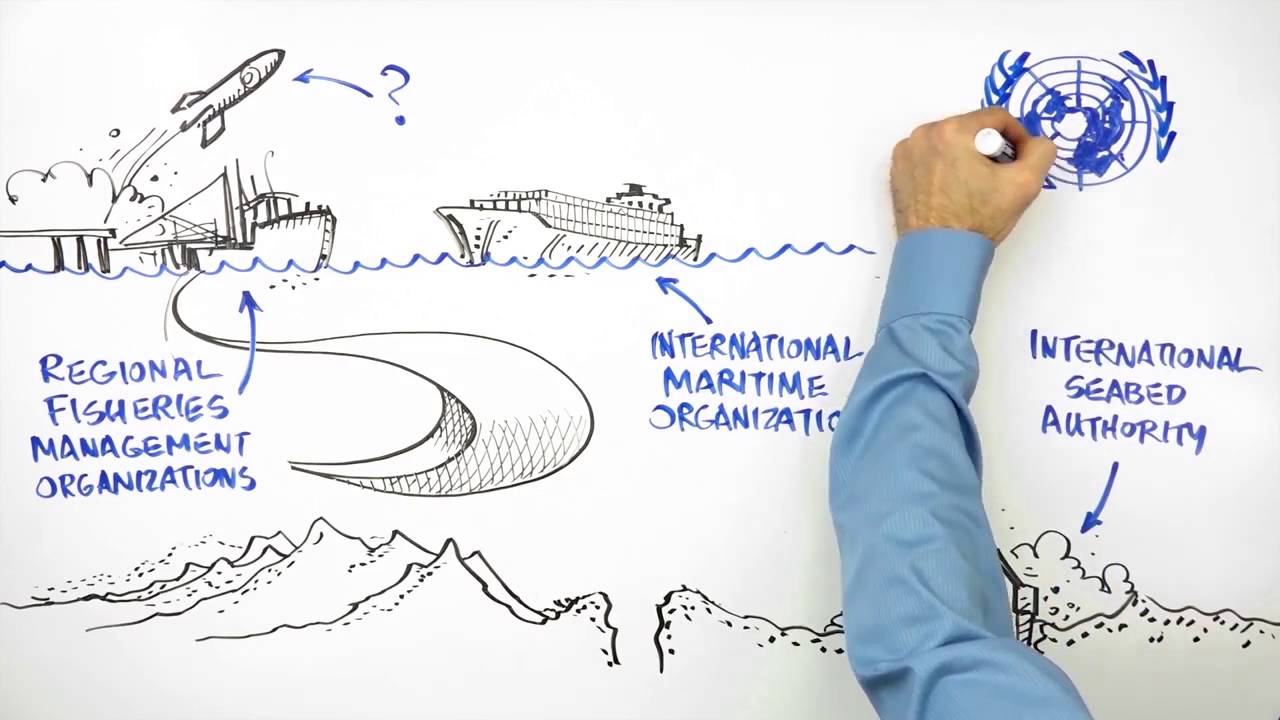&iquest;Qu&eacute; es el alta mar? &iquest;Por qu&eacute; necesita ayuda? | Una explicaci&oacute;n