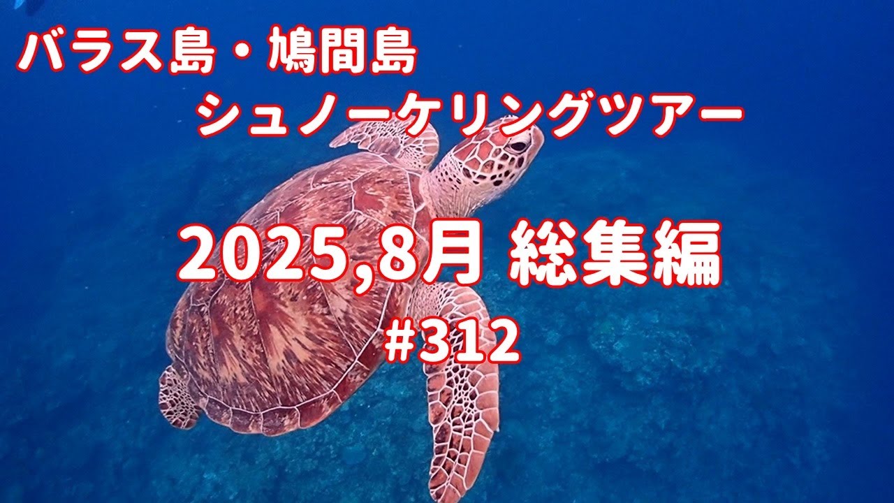 2025年8月の海の様子をまとめました