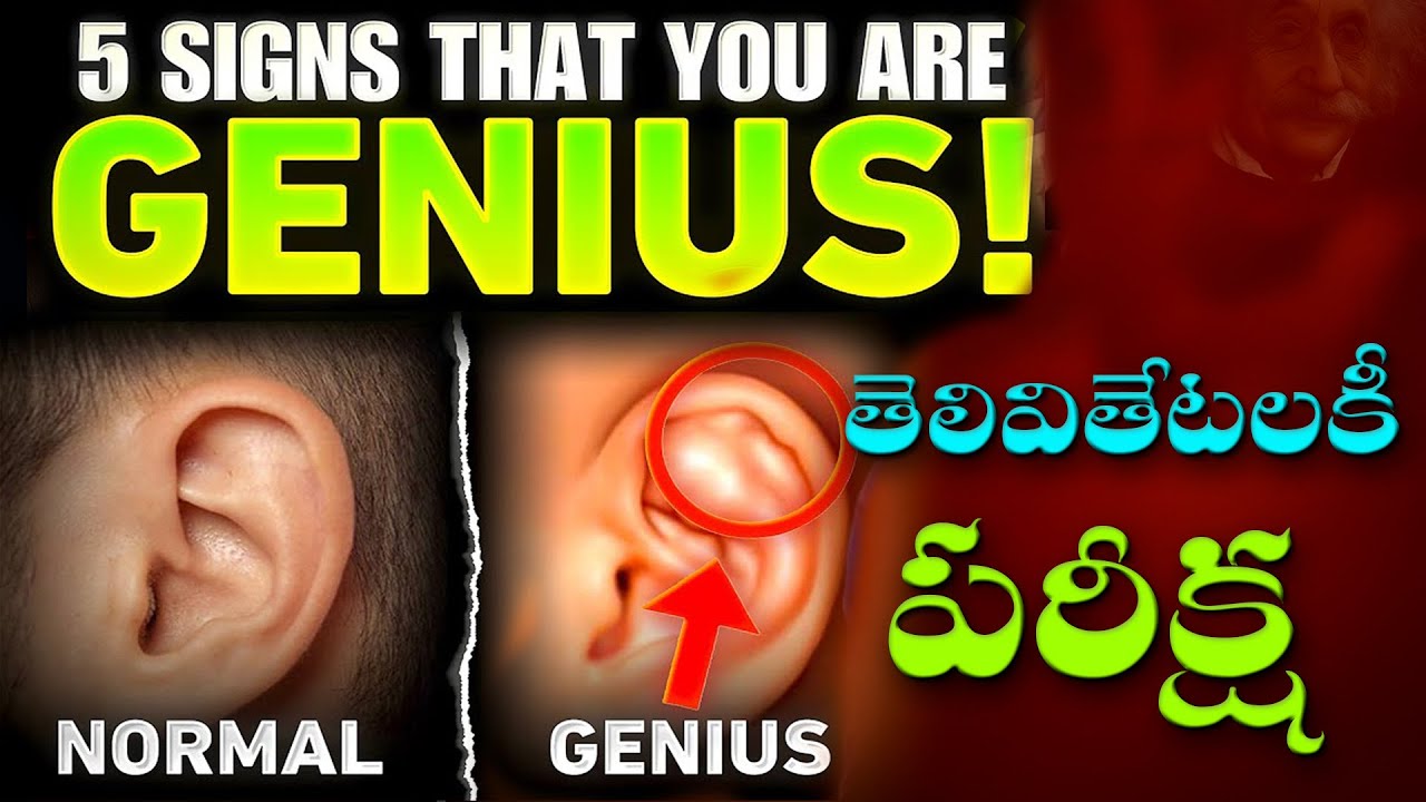 మీ Brain  కూడా Einstein లా ఆలోచిస్తుందా ఇప్పుడే తెలుసుకోండి|5 Signs that Shows You’re GENIUS🔥|