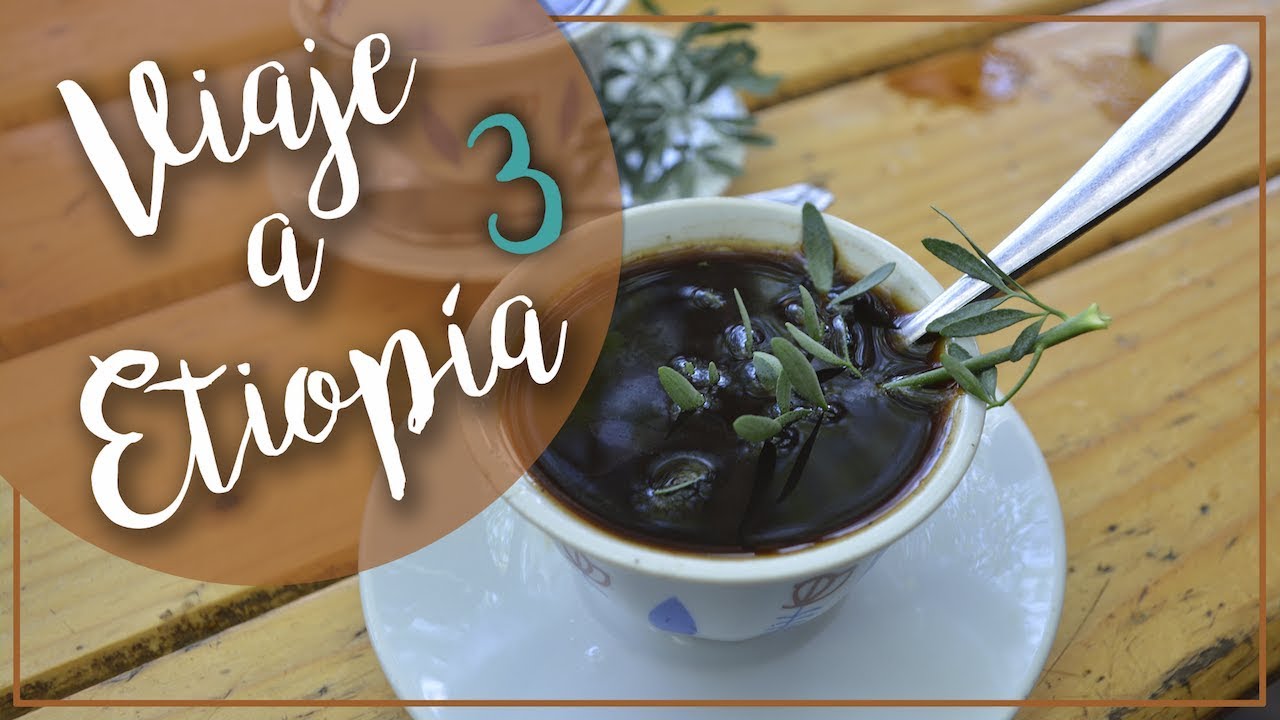 El mejor café de África (Viaje a Etiopía) Capítulo 3/17