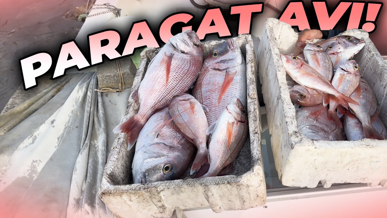 BABA-OĞUL PARAGAT ATTIK! | BAKIN NELER YAKALADIK, NELER KAÇIRDIK!