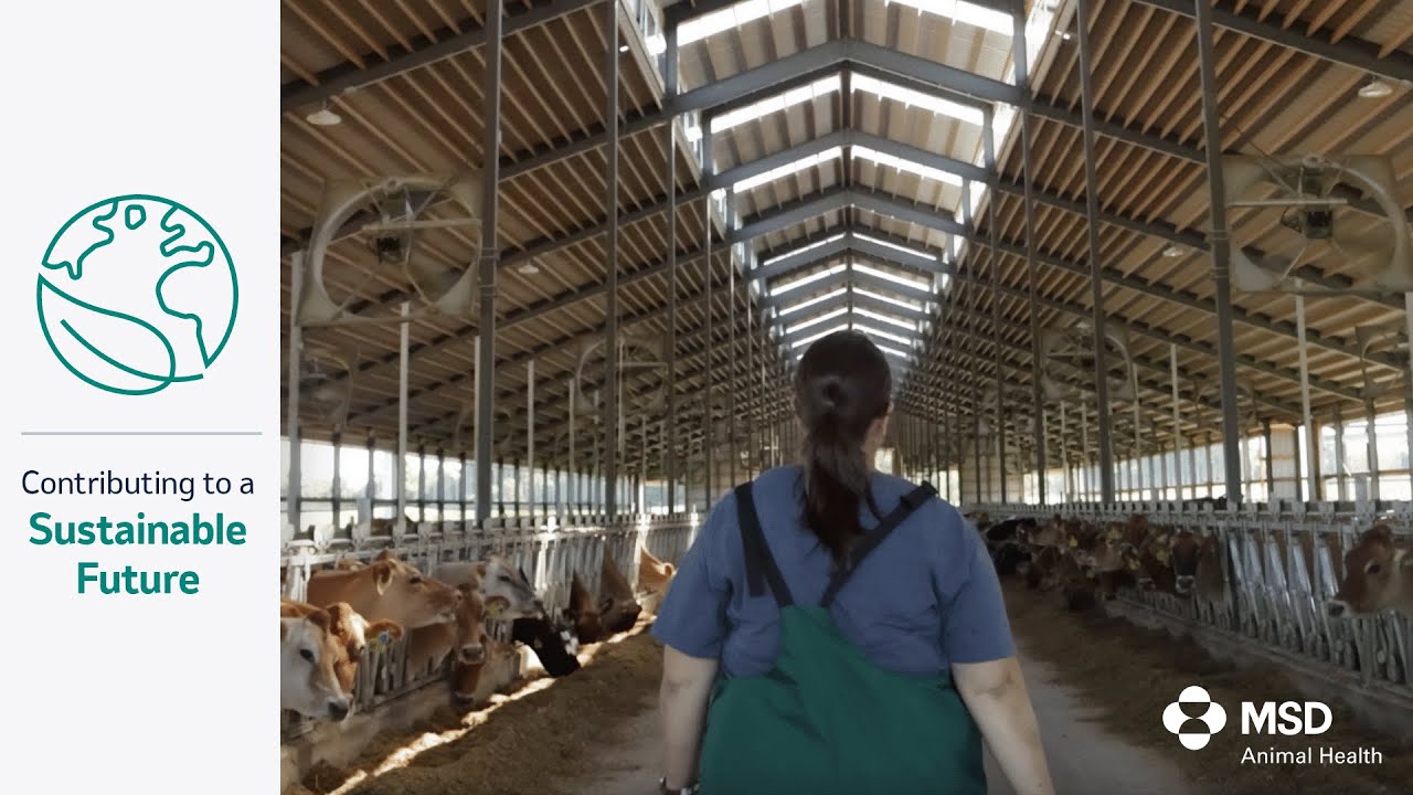 Sustainability and Animal Welfare