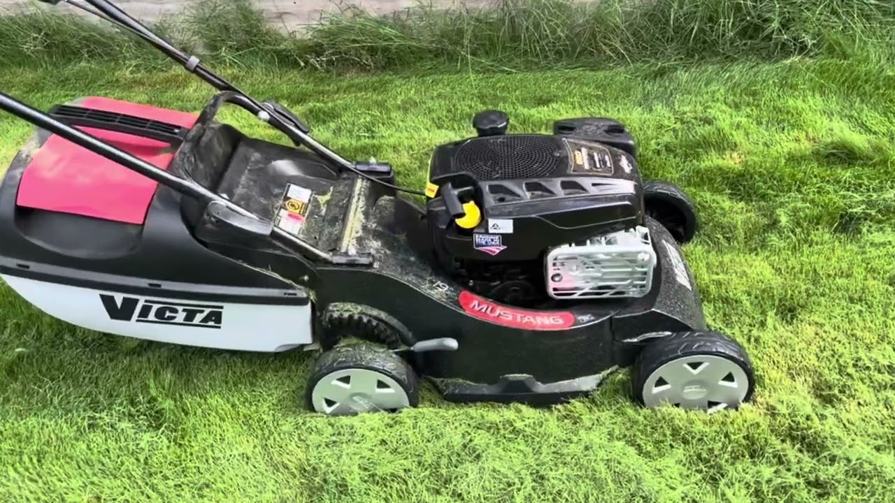 Victa Mustang Mower Review