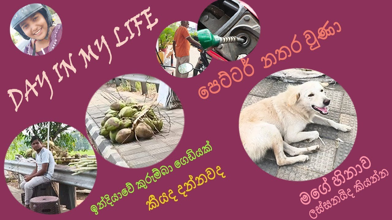 ඉන්දියාවේ ගෙවුණු තවත් එක දවසක්