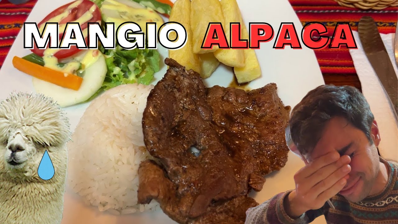 MANGIO CARNE DI ALPACA... tour di CUSCO e RITORNO A CASA