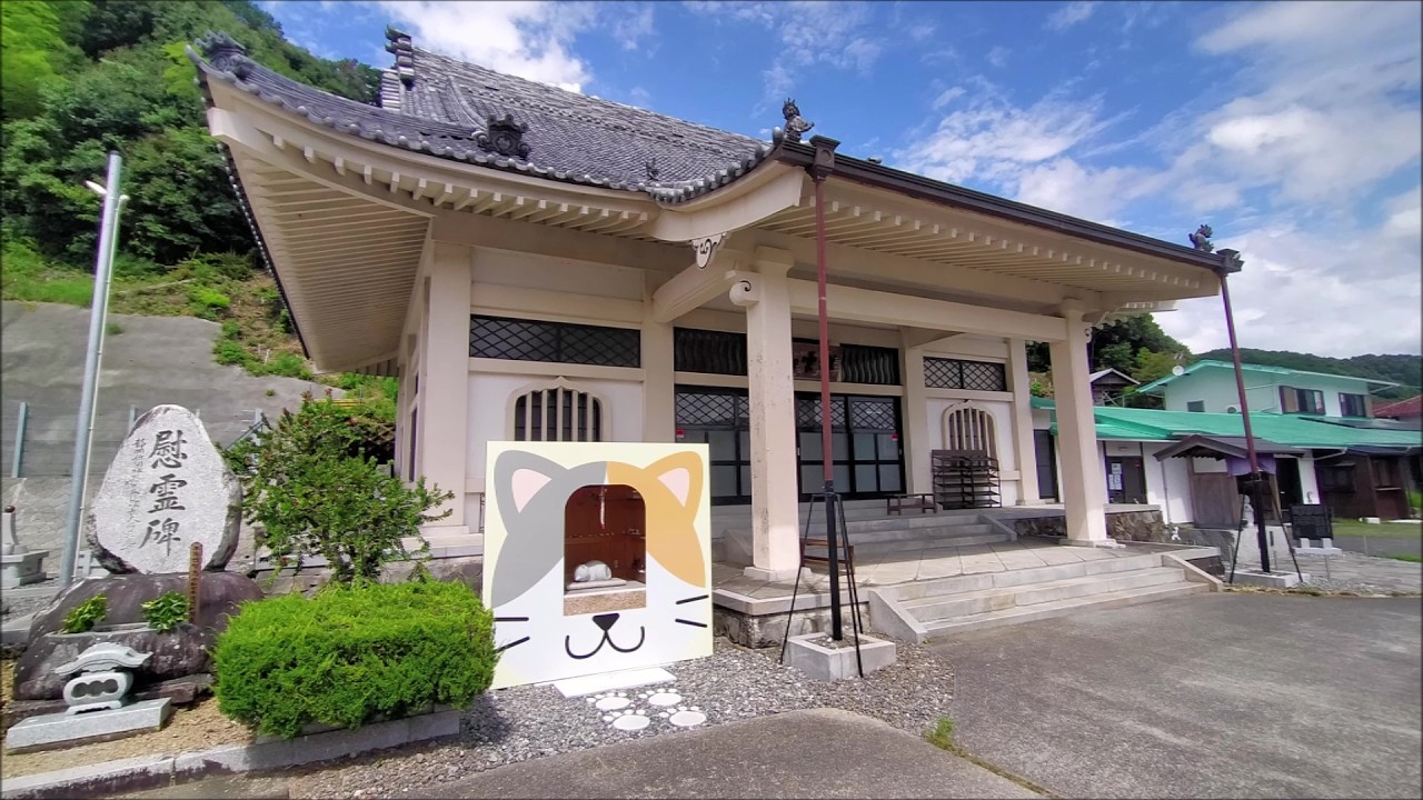 Kotaiji CAT TEMPLE (宗教法人 祥雲山 康泰寺) Kocia Świątynia w Shimada