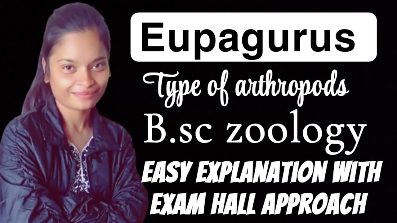Eupagurus || type of Arthropods || b.sc || Zoology || university exams || college exams || 