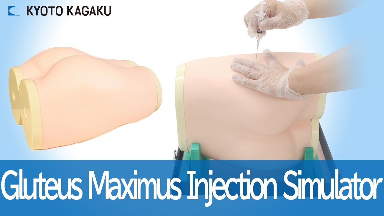 M74 Gluteus Maximus Injection Simulator
