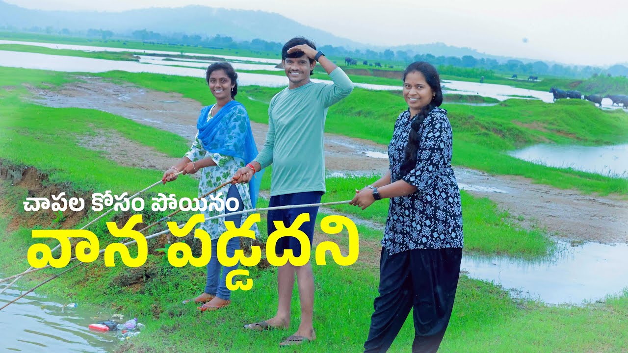 వాన పడుతంది అని చాపలకు పోయం | Fishing in rain time  | Shree Videos