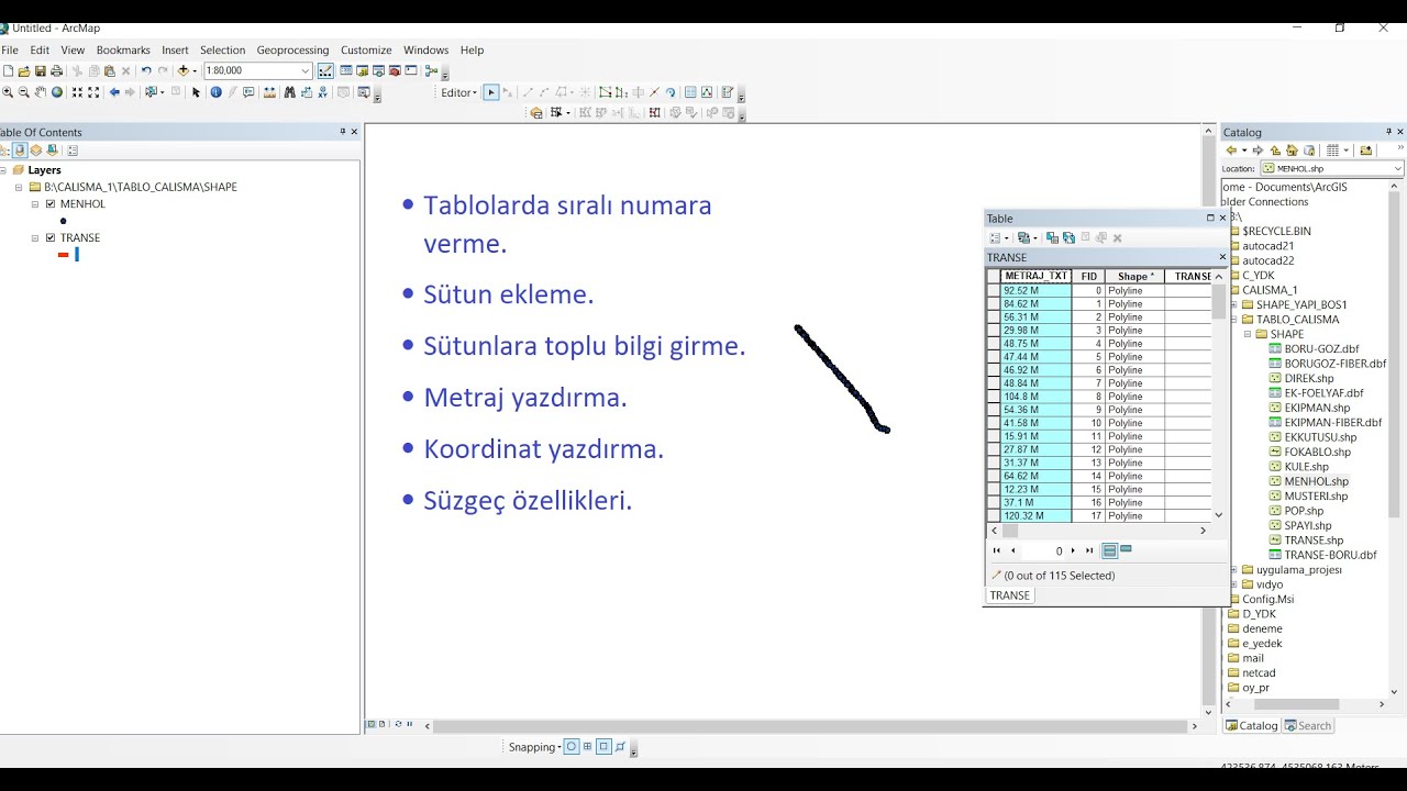 ARCGİS - ARCMAP TABLODA İŞLEMLER