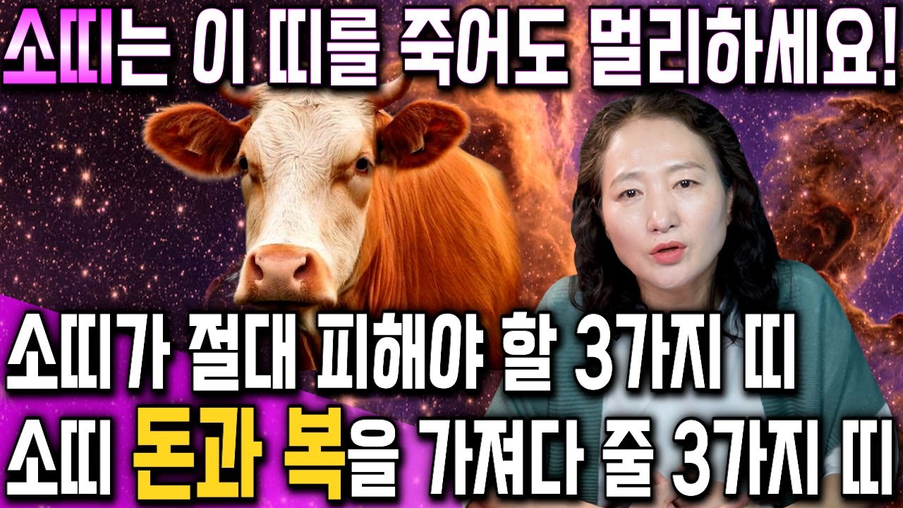 [소띠 평생 운세] 소띠가 X띠를 만난다면 99% 쪽박을 찹니다! 2025년 소띠에게 돈과 복을 가져다주는 띠는?!  61년생 73년생 85년생 97년생 소띠운세