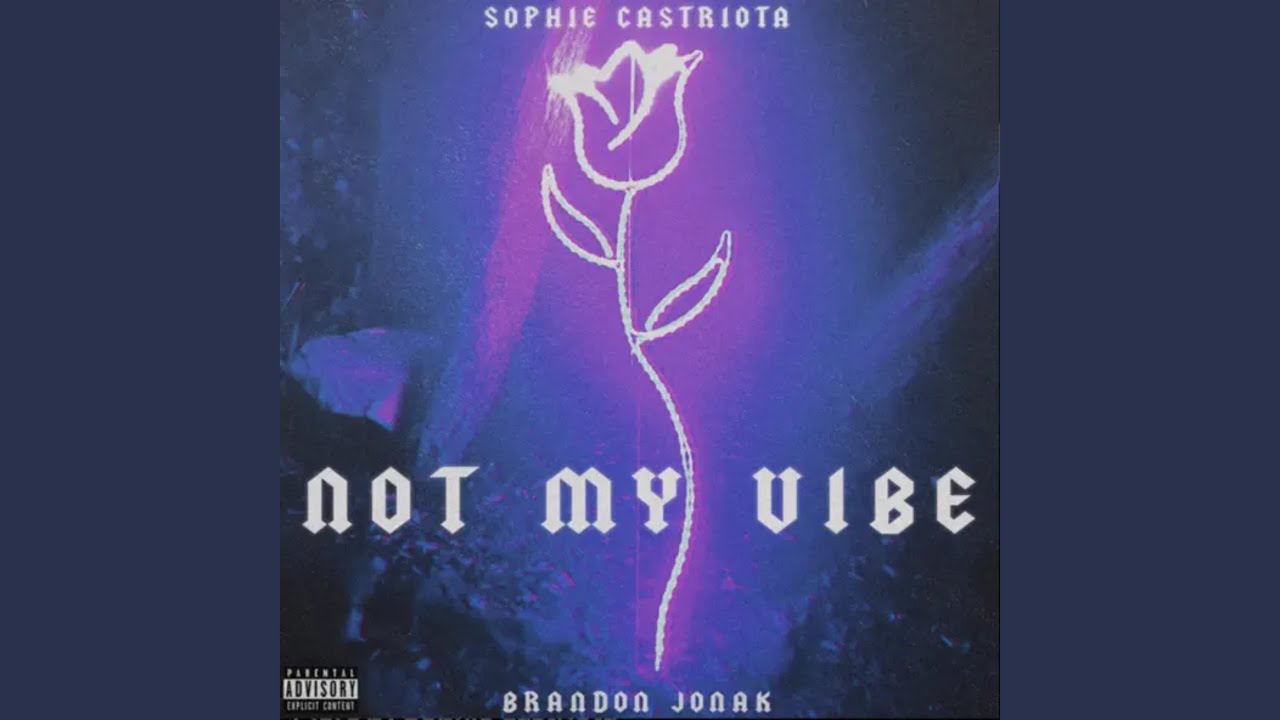 Not My Vibe