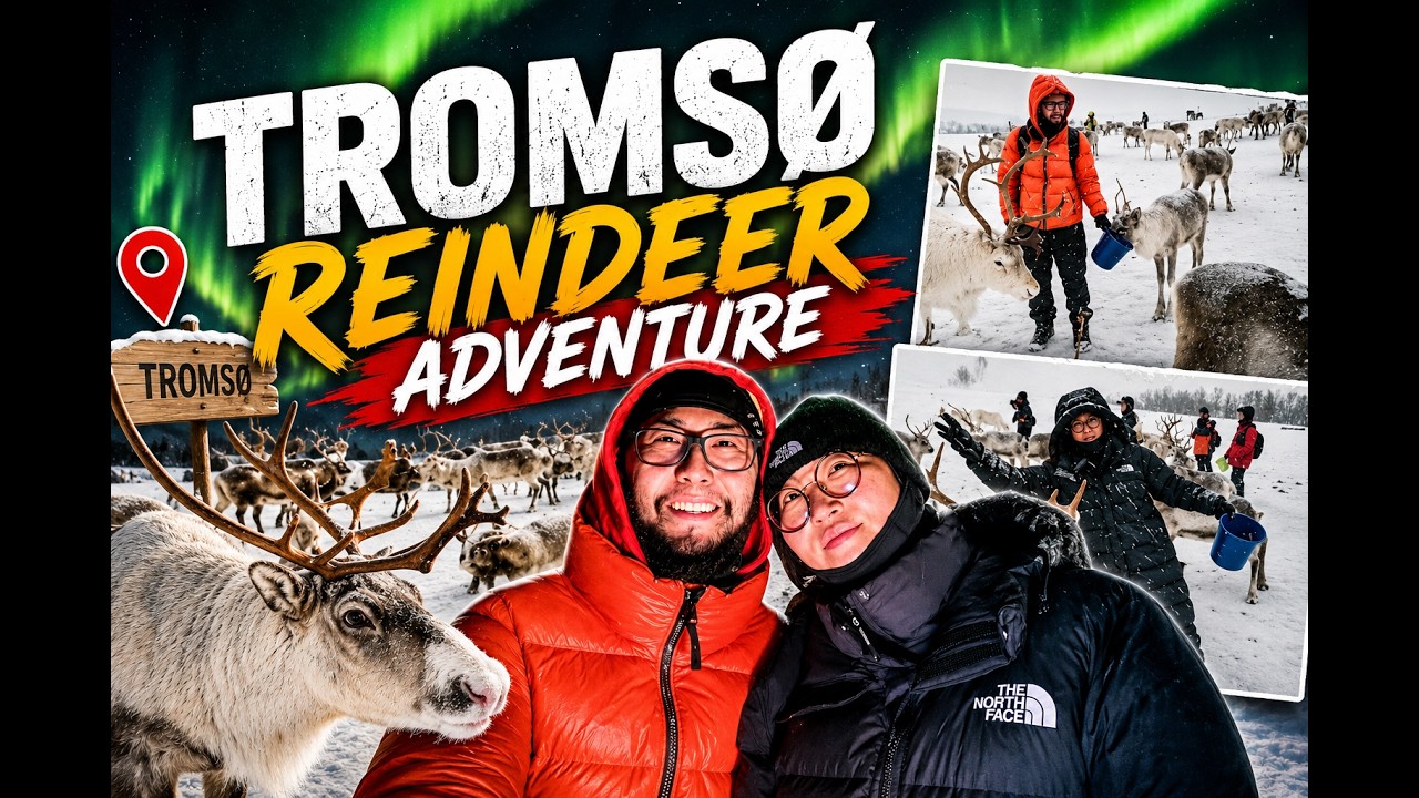 Tromsø, Norway is a tourist trap. 2024 Travel Vlog