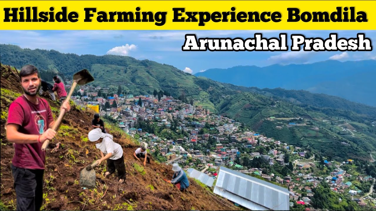 Hillside Farming Experience || Exploring Bomdila ||Buddhist Monastery || Arunachal Pradesh Notheast