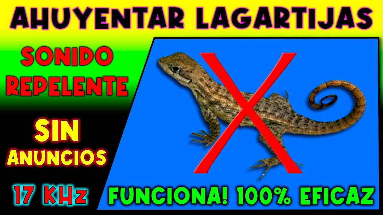 SONIDO PARA AHUYENTAR LAGARTIJAS 🚫🦎 REPELENTE DE LAGARTIJAS