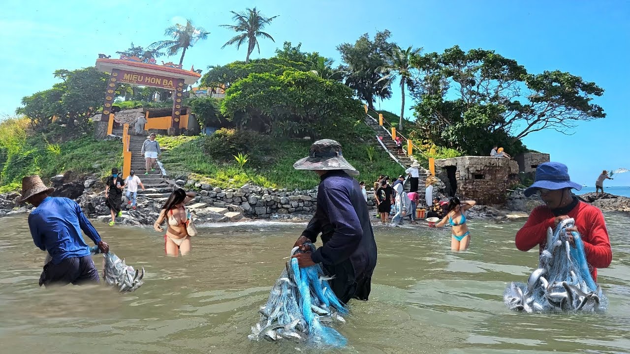 Rùng Mình Trước Cảnh Tượng Các Chú Chài Cá Bao Vây Thành Công Đàn Cá Khủng Dưới Chân Miếu Hòn Bà