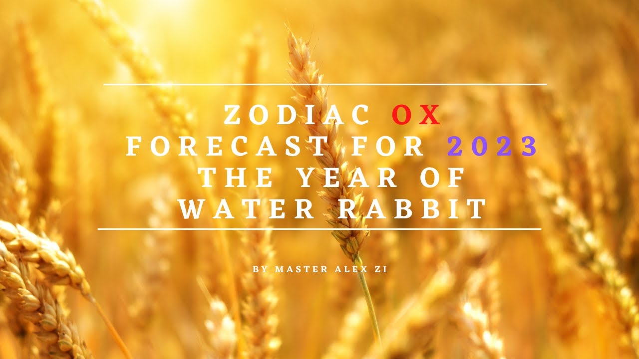 Zodiac &ldquo;OX&rdquo; Forecast for 2023 the Year of Water Rabbit