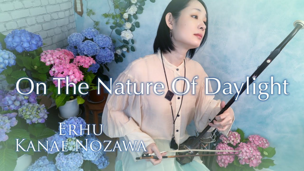 Max Richter | On The Nature Of Daylight / Erhu Cover