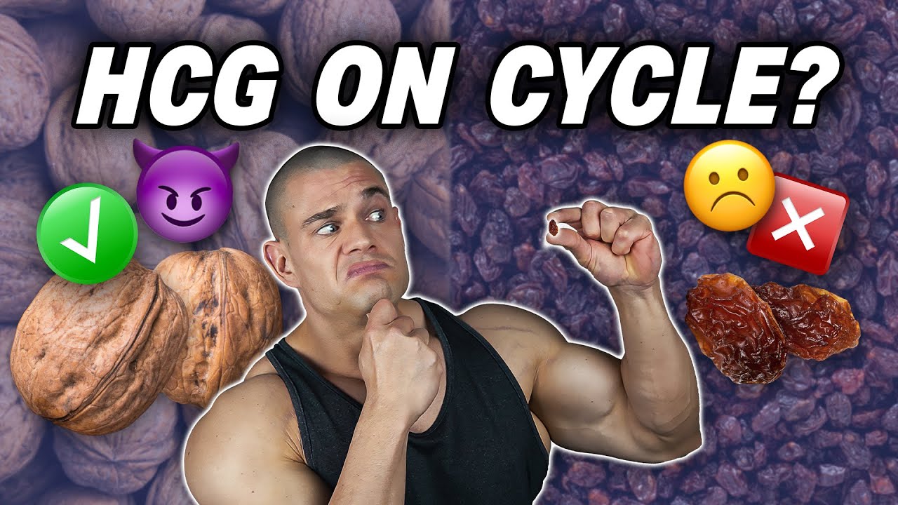 The Pro's & Con's Of HCG On Cycle | Desensitization | Testicular Volume | Semen Volume | Fertility