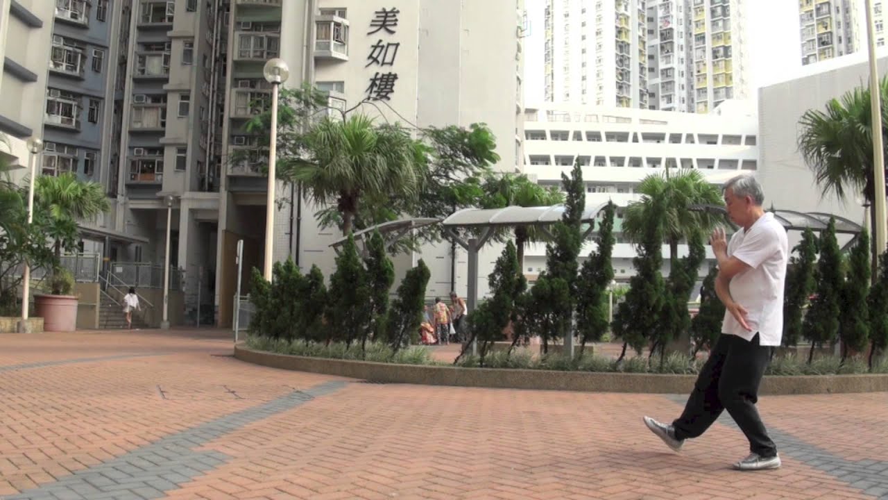 吳家 119 式太極拳