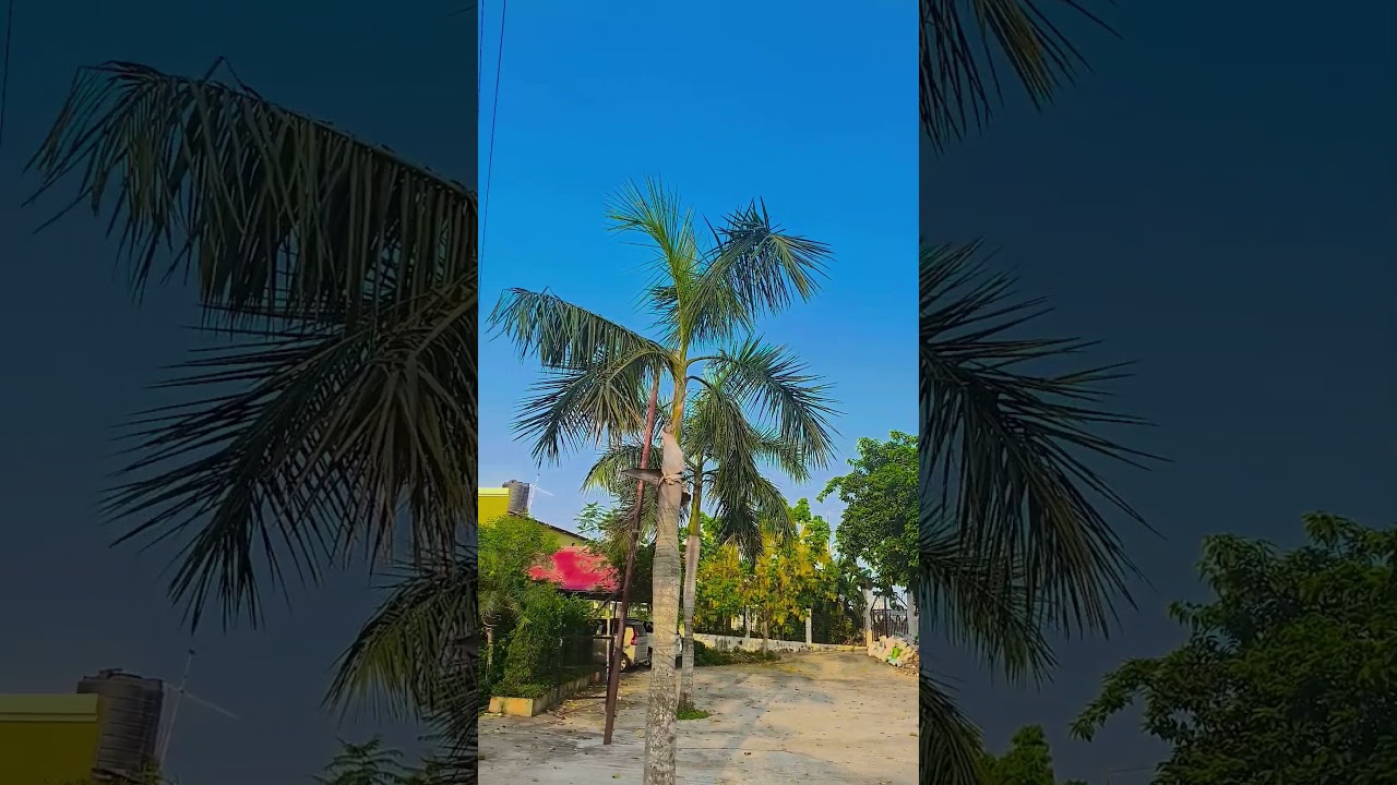 Tomari jono ❤️💞 akdhi #mument #automobile 😎🤙😎❤️💞