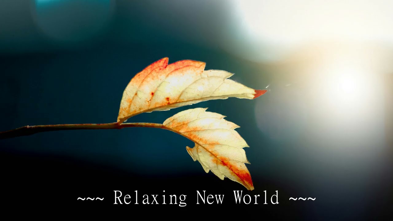 Infinite Stillness: Deep Meditation Music for Inner Peace & Healing
