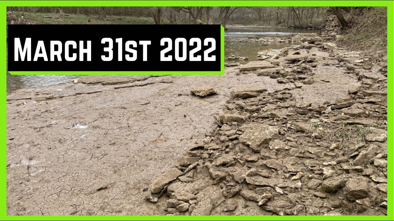 WHITE BASS UPDATE - 31 MAR 2022 What Are They Doing?