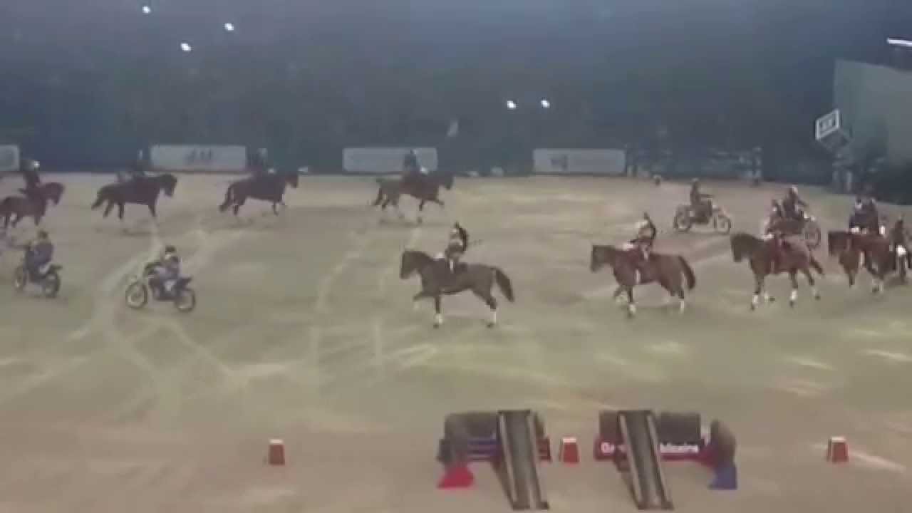 Garde Républicaine - Décembre 2014 - Sweden International Horse Show