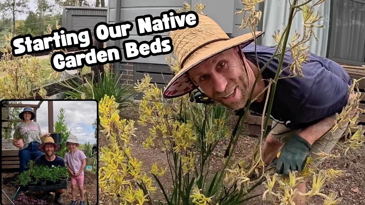 Australian Native Gardens & Post Chrissy Catch Up