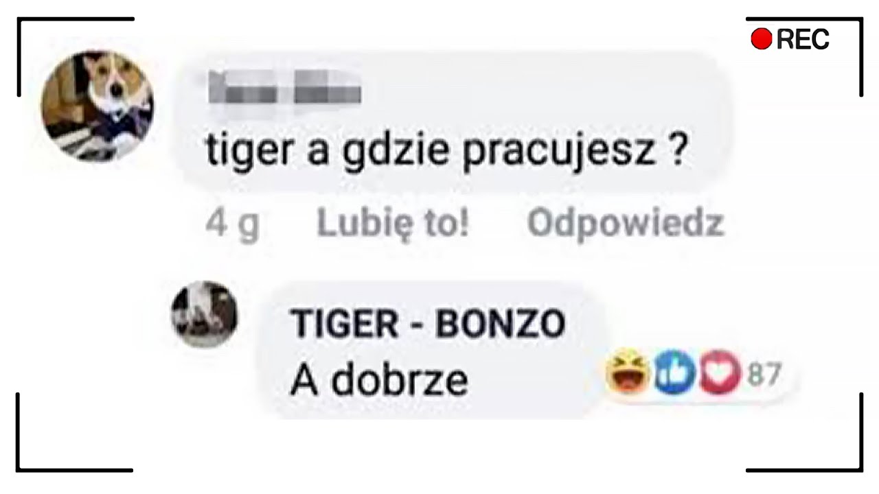 gadka się klei