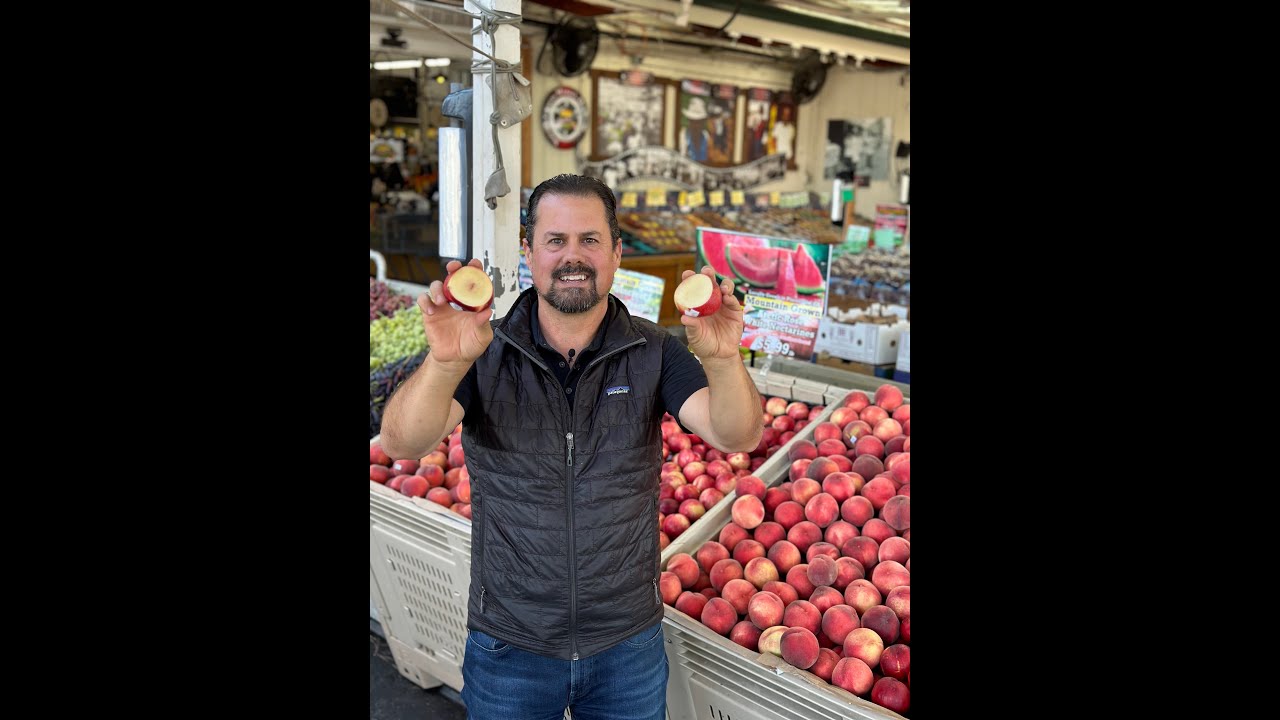 The BEST nectarine of the summer is from the mountains!