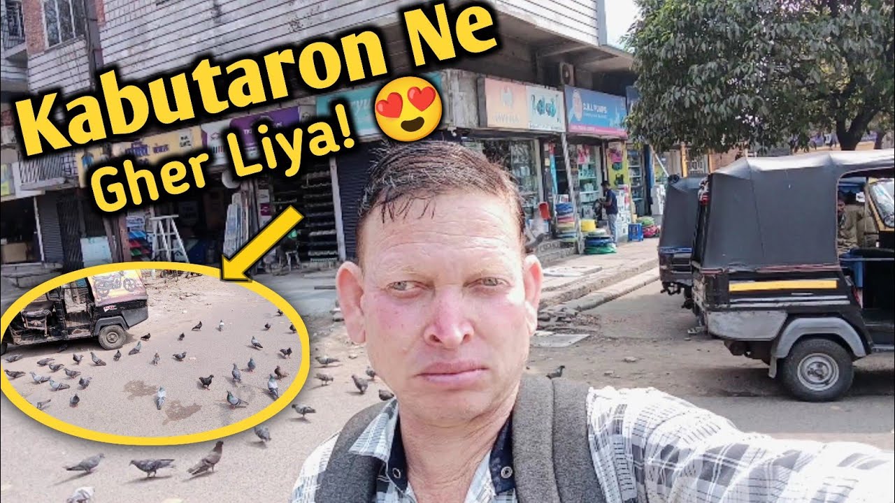 Jamshedpur City Vlog | Mere aage-piche kabutar hi kabutar 😍|#villagelifevlogs ||