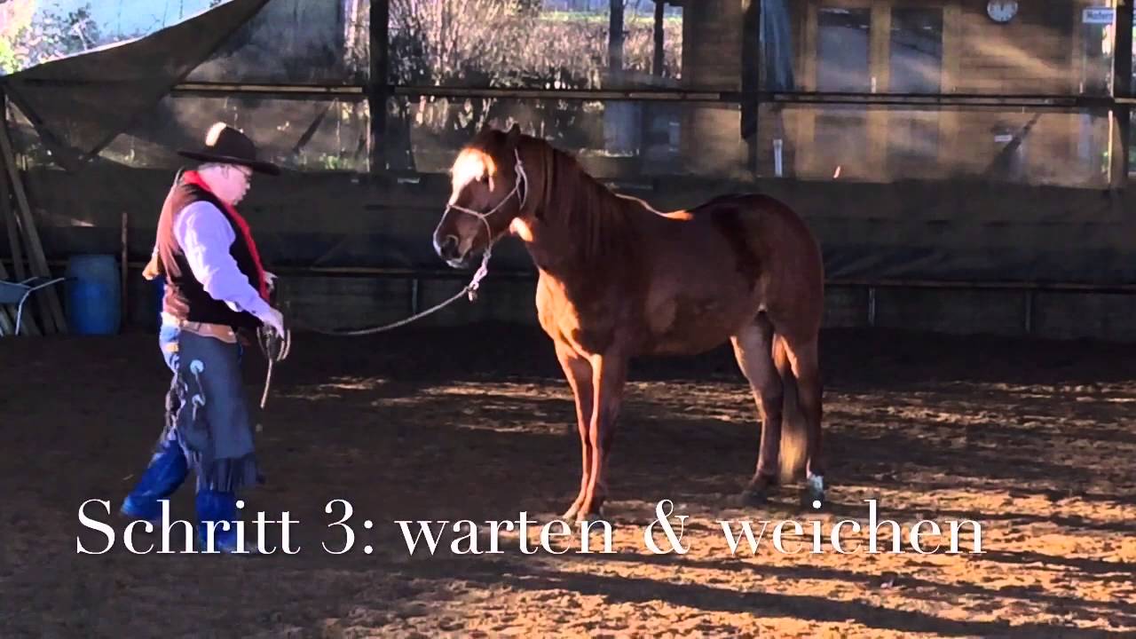 Erich Busch und Fairys Spirit OFriday 1. Trainingseinheit
