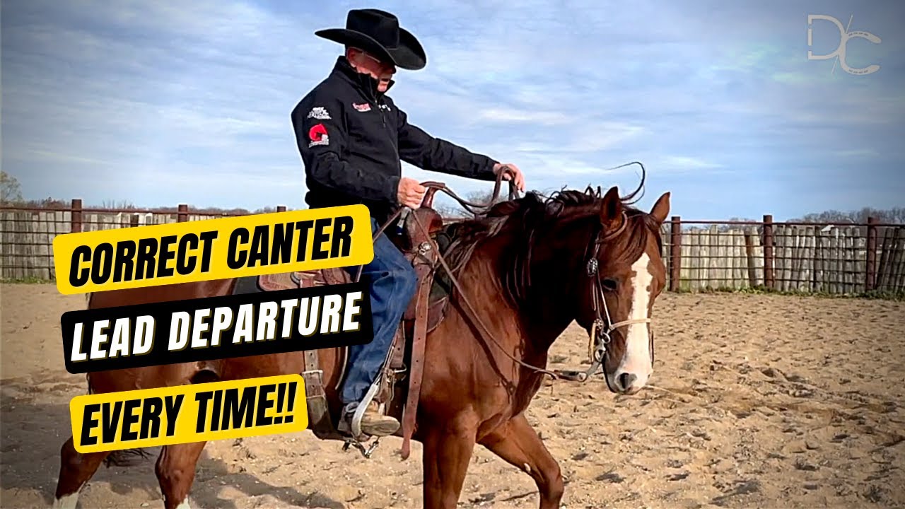 D/C. КАК ПРАВИЛЬНО ОТПРАВЛЯТЬСЯ НА ГАНТЕ... Каждый раз 🐎