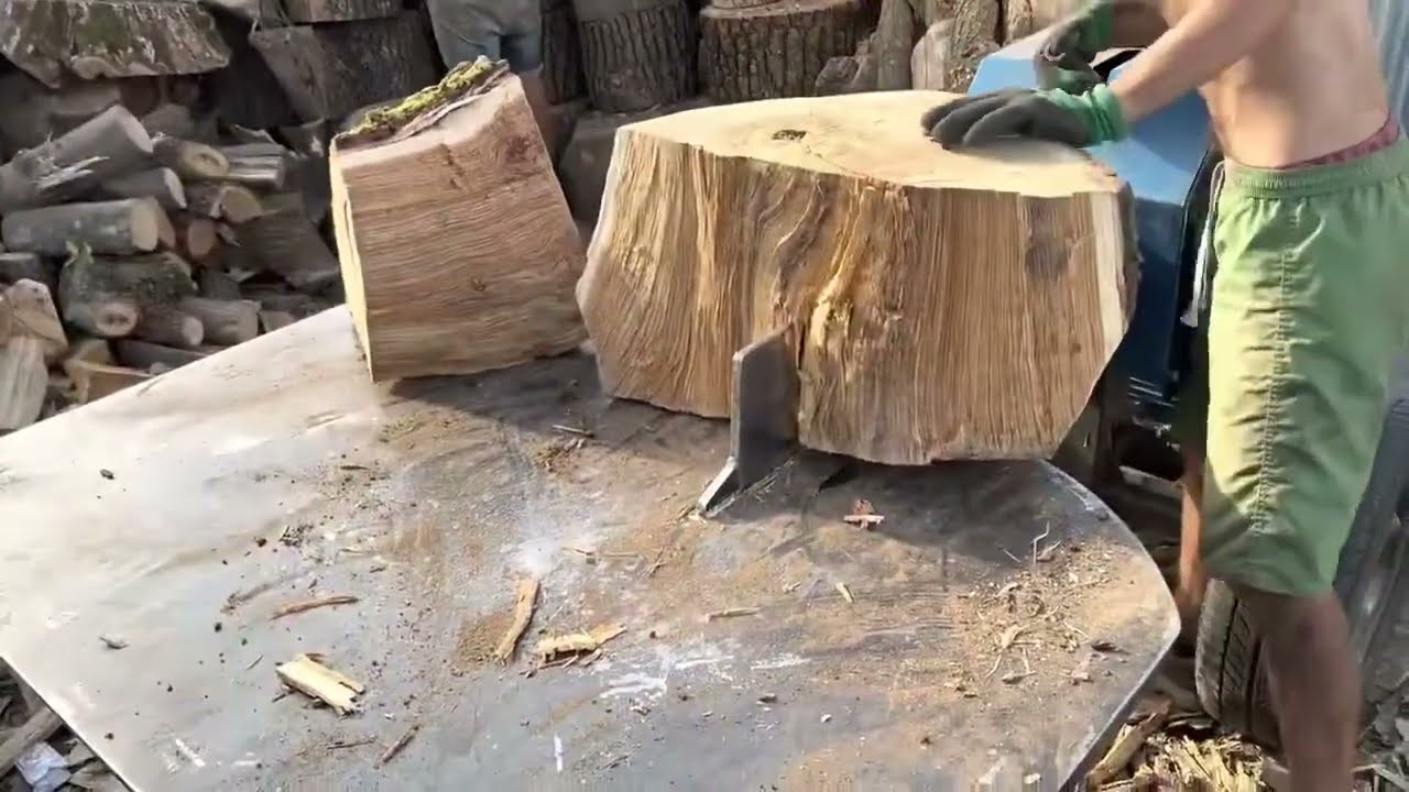 Breaking the Giants of the Forest