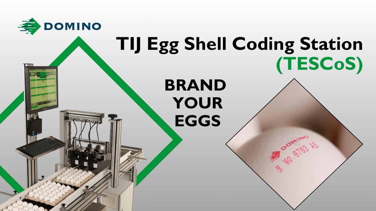 Printing on egg shells:TIJ Egg Shell Coding Station (TESCoS)