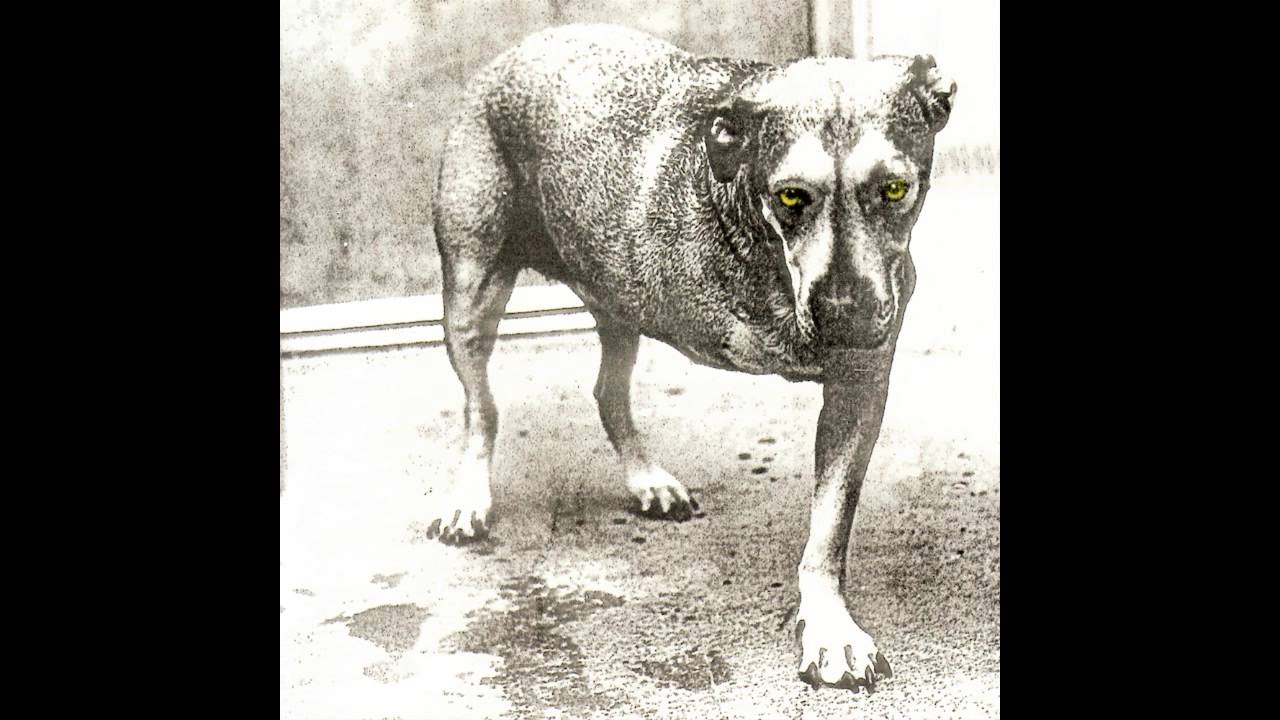 Alice in Chains - Heaven Beside You
