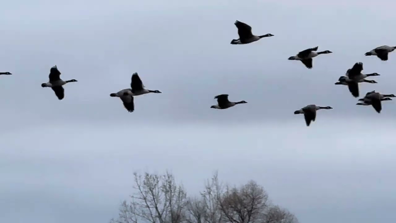 “ I’ve been waiting for this moment for a long time .”