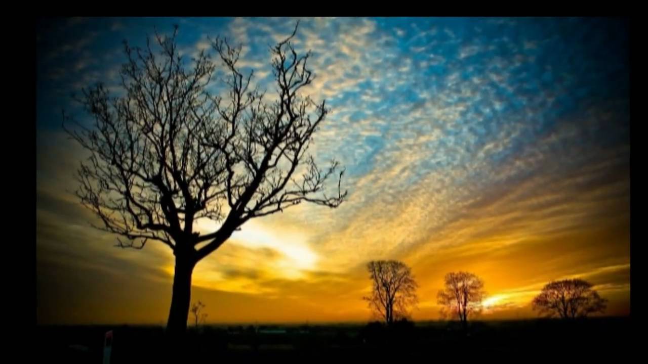 Holy Place - Maranatha - Praise 7
