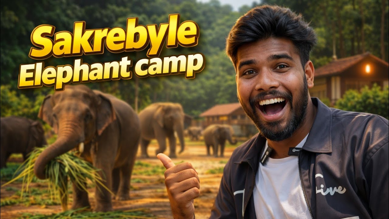 ಸಕ್ಕರೆ ಬೈಲು ಆನೆ ಬಿಡಾರ😍 || Shivamogga elephant camp most visited place🐘 || @chethanrohith4137 