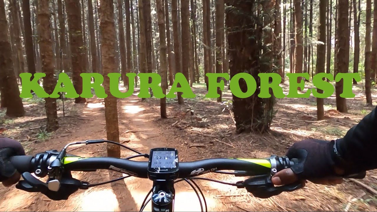 Karura forest - Cycling in Nairobi
