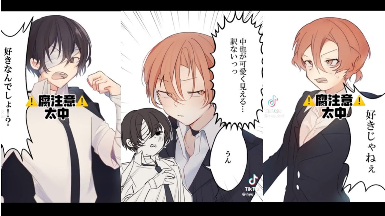 【文豪ストレイドッグス】腐向けティックトック　太中など