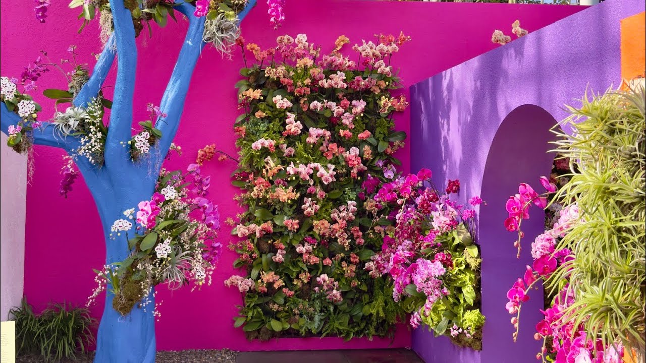 Mexican Modernism Orchid Show 2025 at New York Botanical Garden in the Bronx, New York City