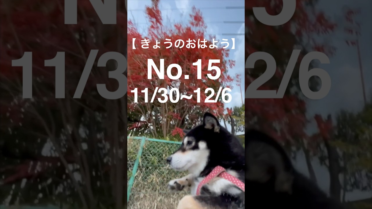 【きょうのおはよう】No.15【11/30~12/6】
