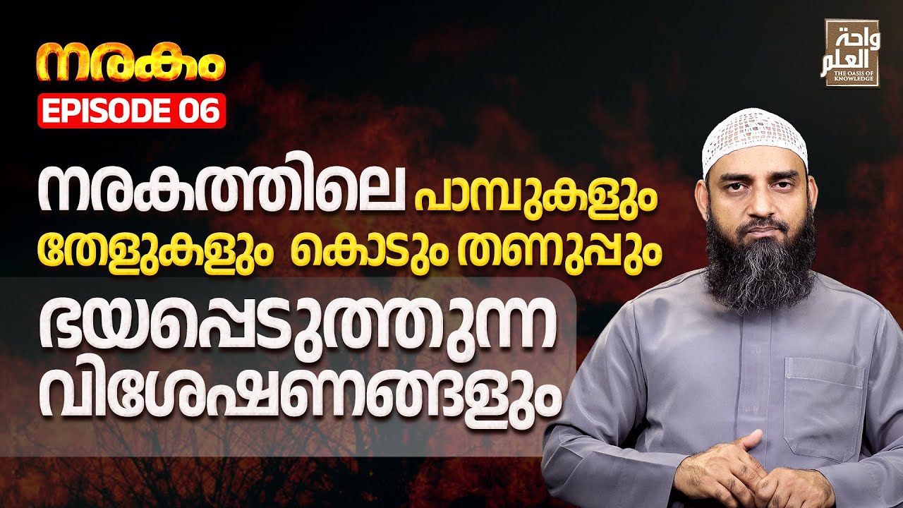 നരകത്തിലെ പാമ്പുകളും തേളുകളും  കൊടും തണുപ്പും ഭയപ്പെടുത്തുന്ന വിശേഷണങ്ങളും | Sirajul Islam Balussery