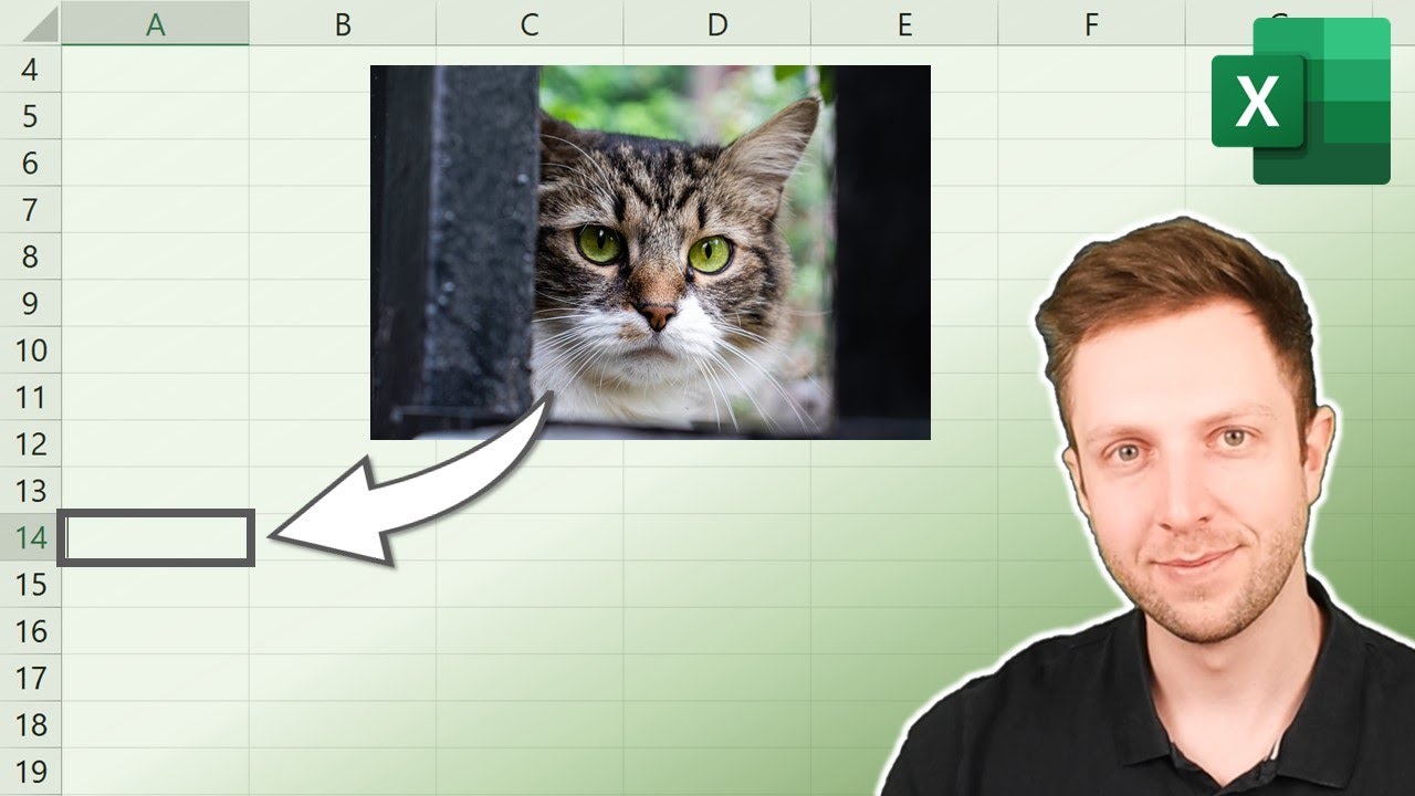 BILDER direkt IN Excel ZELLEN einf&uuml;gen (zwei Methoden)