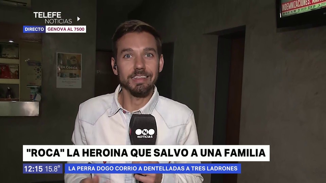 Roca, la perra dogo que salvó a una familia y recibió un disparo-Telefe Rosario