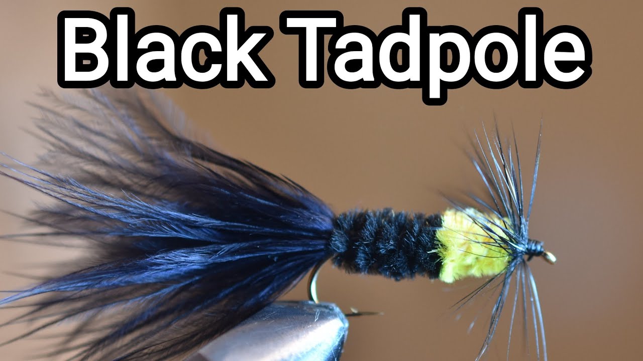 How to tie the Black Tadpole | Fly tying tutorial
