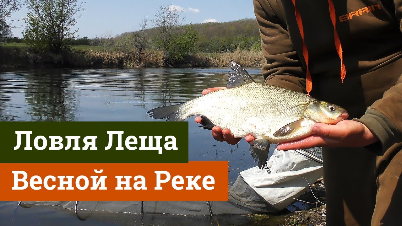 Ловля леща фидером на реке весной. Северский донец