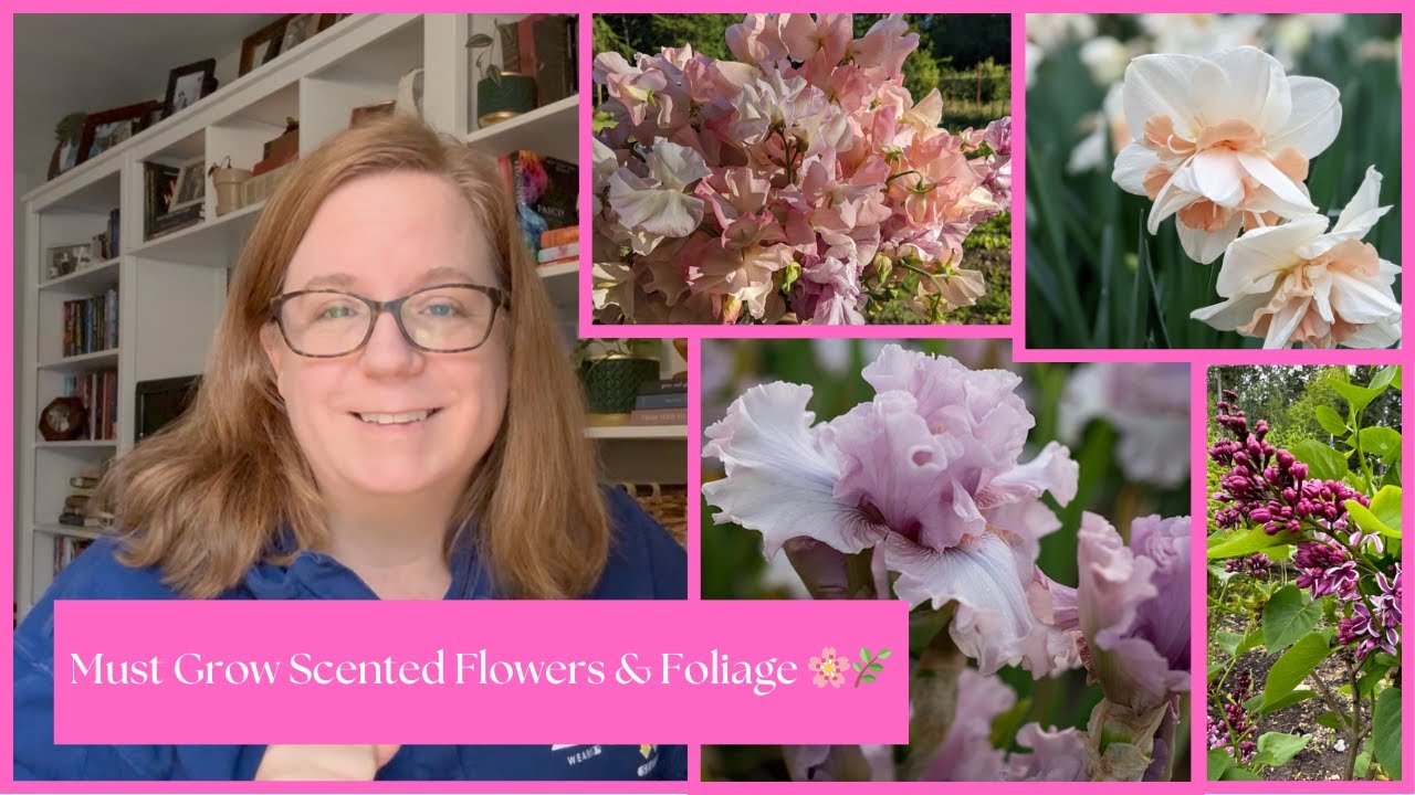 Top Scented Flowers & Foliages for Stunning Bouquets 🌸 Elevate Your Arrangements!